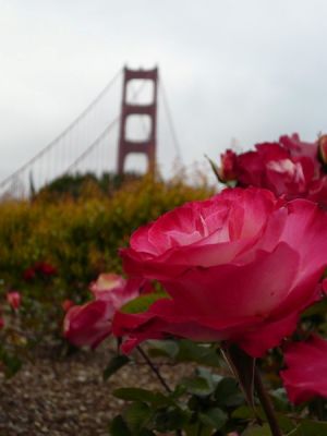 Golden Gate Bridge
