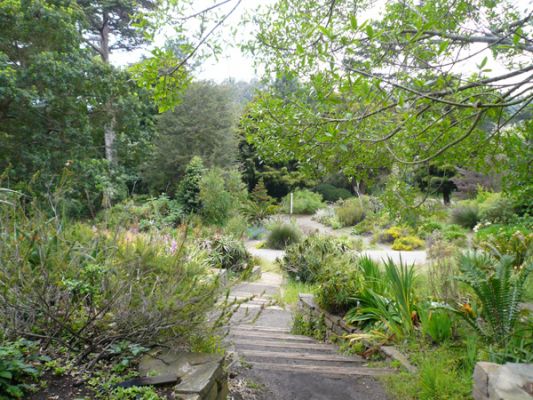 San Francisco (Botanischer Garten)
