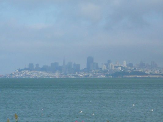 San Francisco
