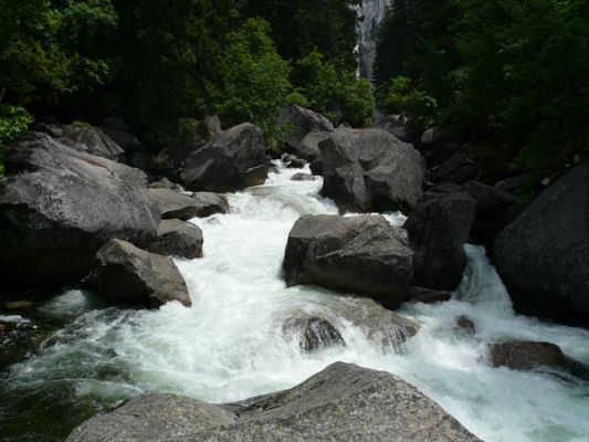 Yosemite NP
