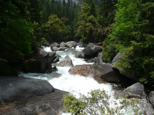 Yosemite NP
