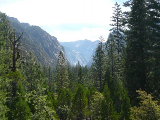Kings Canyon NP
