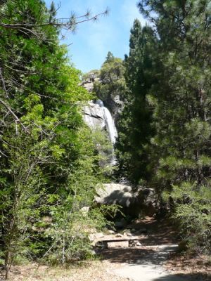 Kings Canyon NP
