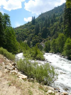 Kings Canyon NP
