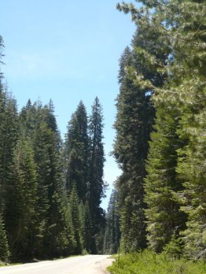 Kings Canyon NP
