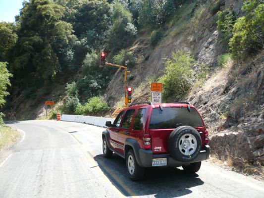 124_Sequoia_NP.jpg