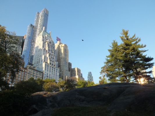 New York Central Park
