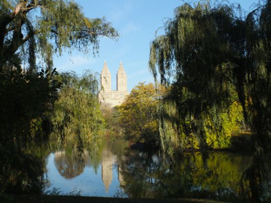 New York Central Park
