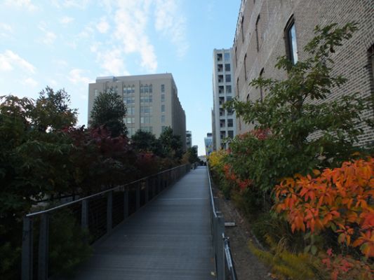 New York Highline
