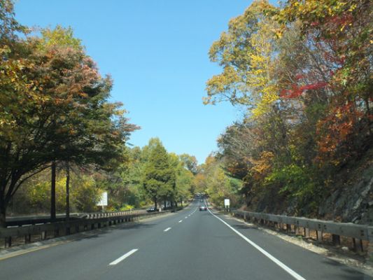 Foliage
