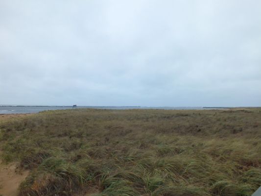 Plum Island
