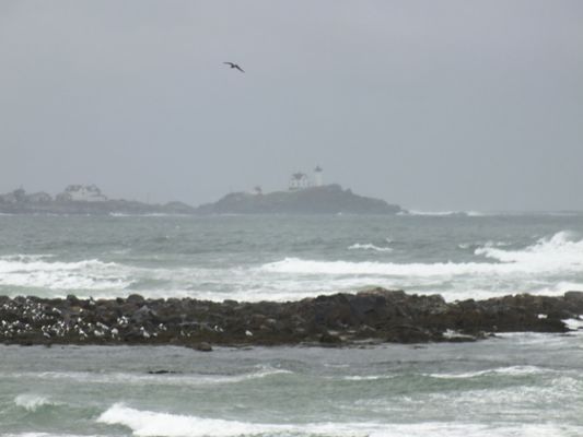 Nubble Light
