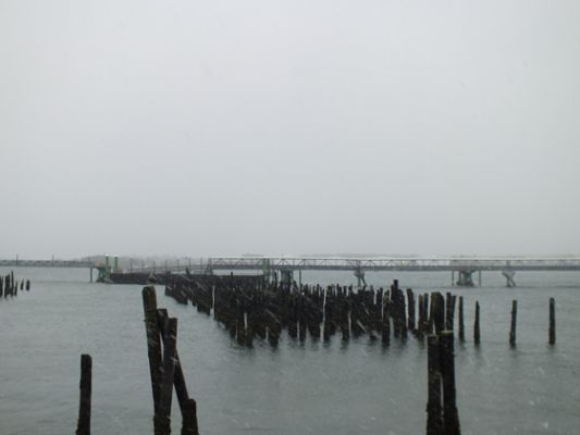 Portland Maine
