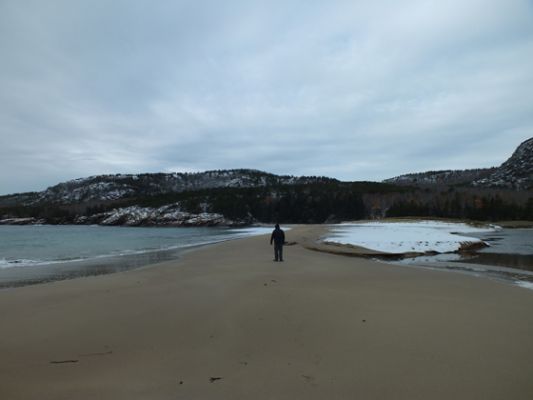 Acadia NP

