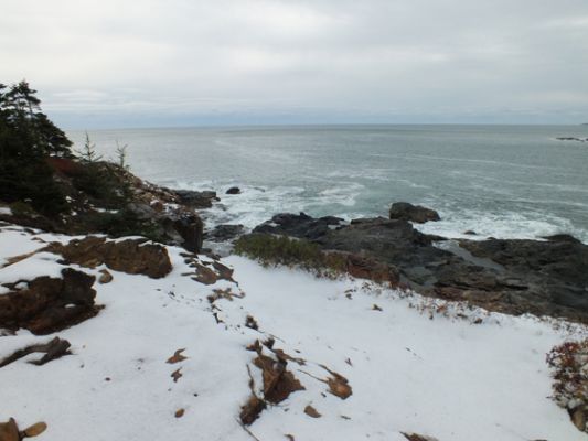 Acadia NP
