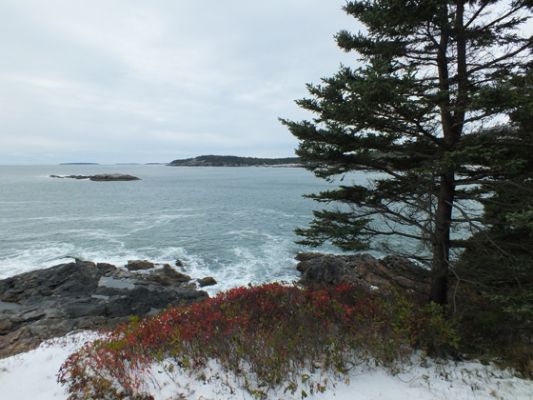 Acadia NP
