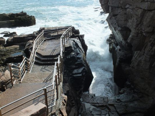 Acadia NP
