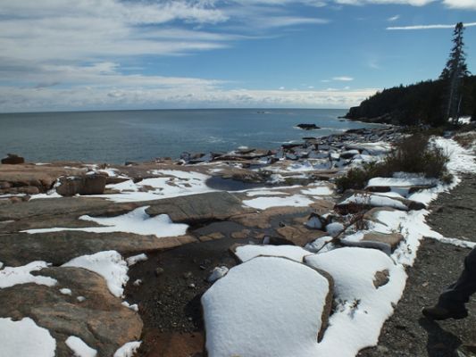 Acadia NP
