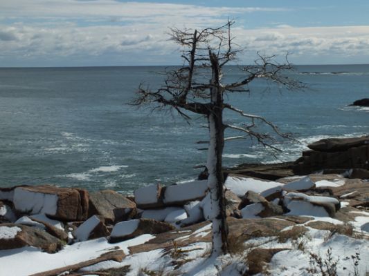 Acadia NP
