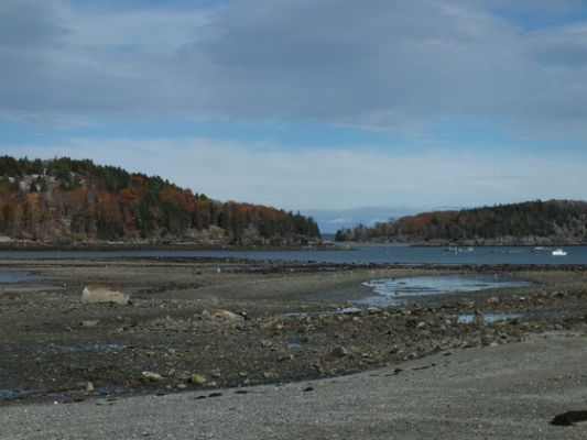 Bar Harbor
