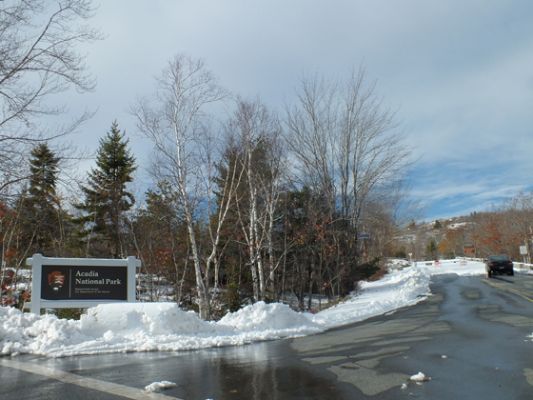 Acadia NP
