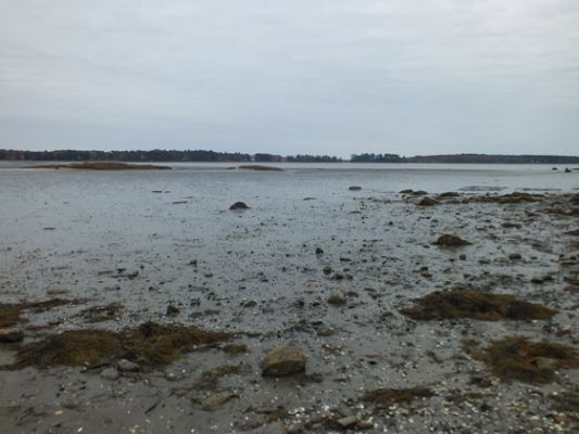 Wolfes Neck SP
