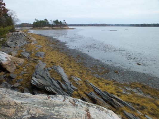 Wolfes Neck SP
