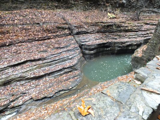 Watkins Glen SP
