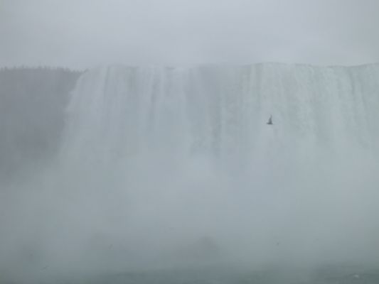 Niagara Falls
