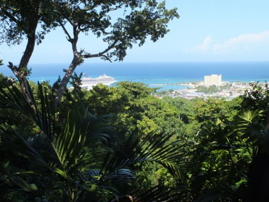 Jamaica Botanical Garden
