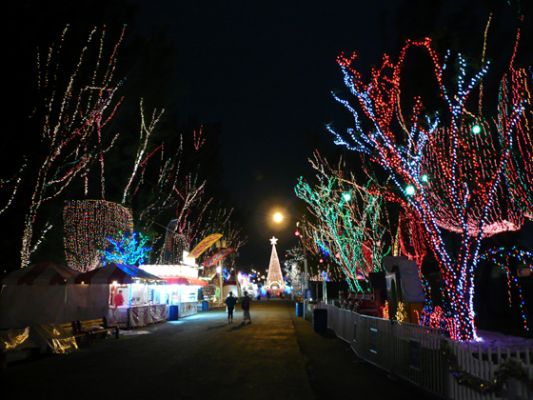 Santa's Enchanted Forest
