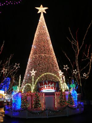 Santa's Enchanted Forest
