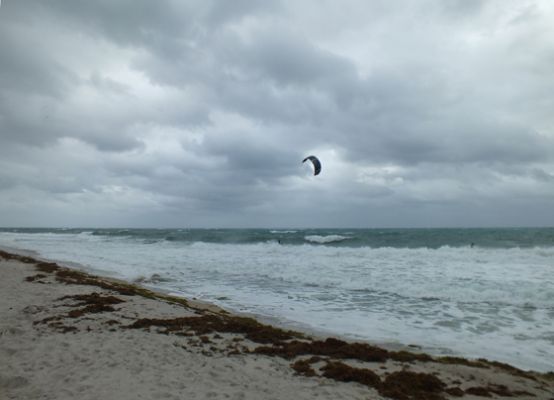 Lauderdale-by-the-sea
