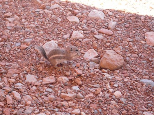 Valley of Fire
