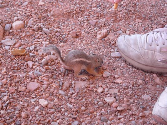 Valley of Fire
