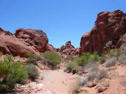 Valley of Fire
