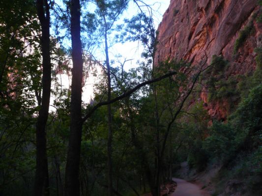 Zion NP
