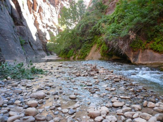 Zion NP (The Narrows)

