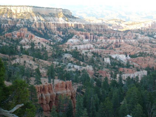 Bryce Canyon NP
