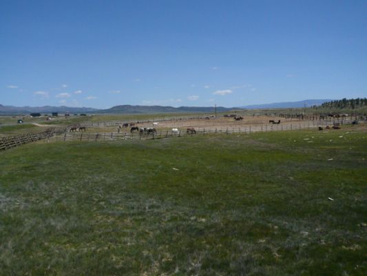 292_Bryce_View_Lodge.jpg