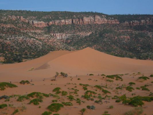 Sand Dune SP

