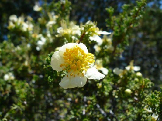 318_Grand_Canyon.jpg