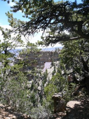 Grand Canyon North Rim
