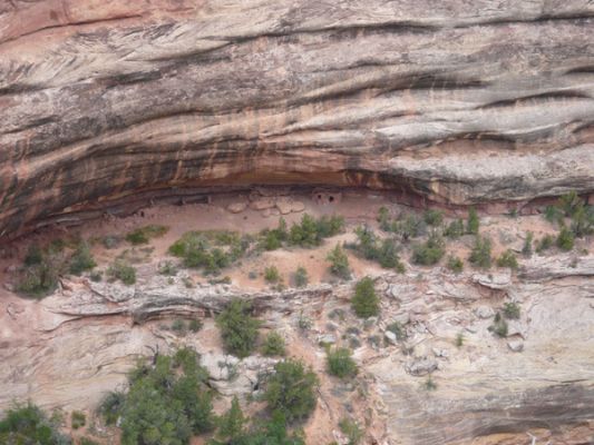 Natural Bridges NM
