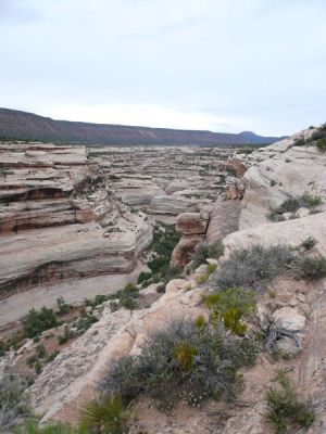 Natural Bridges NM
