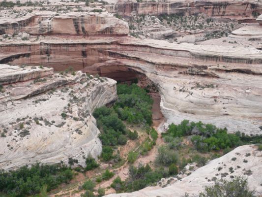 Natural Bridges NM
