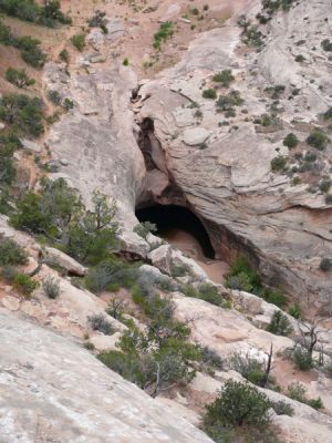 Natural Bridges NM
