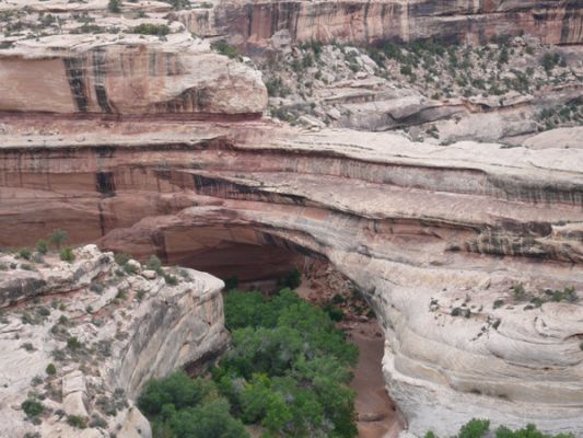 Natural Bridges NM

