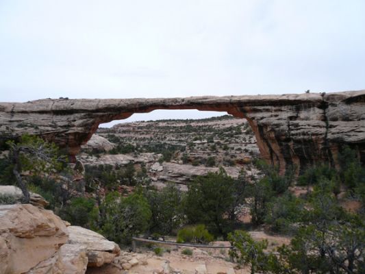 Natural Bridges NM
