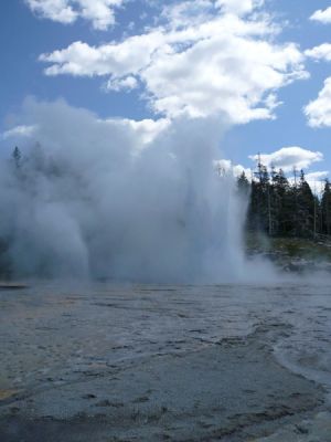 Grand Geyser, Yellowstone NP
